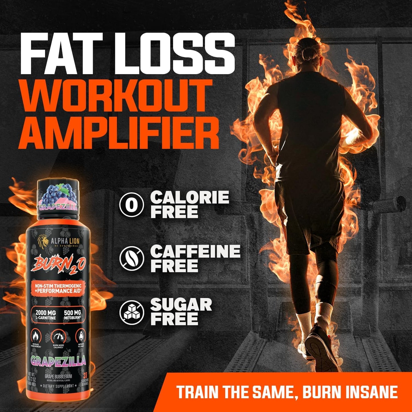 Burn2O L-Carnitine Liquid 2000Mg – Stim Free Super Thermogenic Fat Burner with Mitoburn® & Caloriburn GP®, Metabolism Booster, Zero Calorie, Sugar-Free (31 Servings, Grapezilla Flavor)