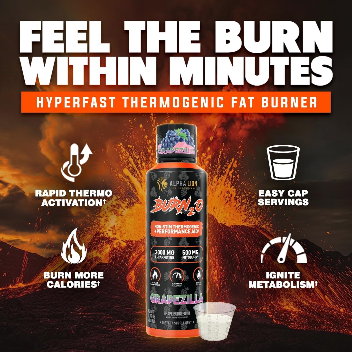 Burn2O L-Carnitine Liquid 2000Mg – Stim Free Super Thermogenic Fat Burner with Mitoburn® & Caloriburn GP®, Metabolism Booster, Zero Calorie, Sugar-Free (31 Servings, Grapezilla Flavor)