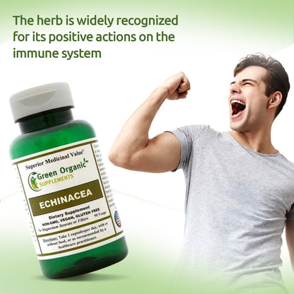 Green Organic Supplements' Echinacea Angustifolia