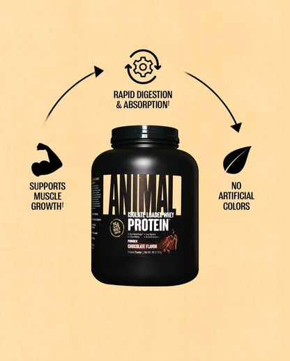 Chocolate Protein Supplement Powder 52 Servings 25G Protein per Scoop