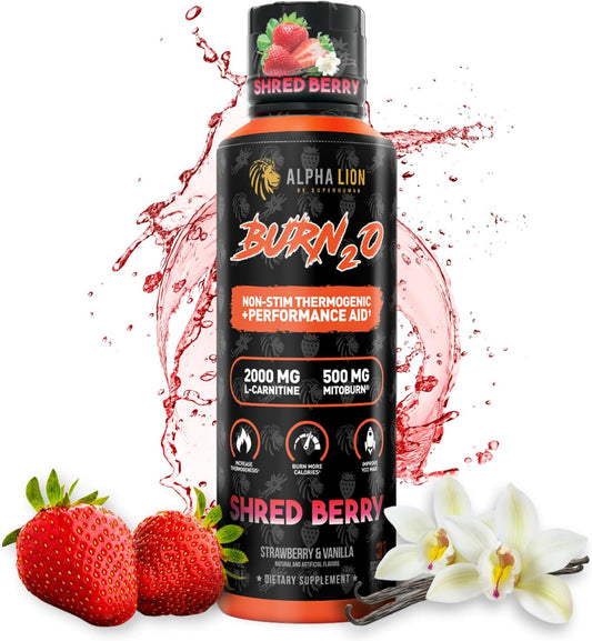 Burn2O L-Carnitine Liquid 2000Mg, Premium Liquid Fat Burner & Pre-Workout Supplement for Men & Women - Natural Energy & Metabolism Booster for Weight Loss - Shredberry