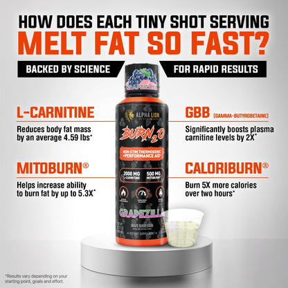 Burn2O L-Carnitine Liquid 2000Mg – Stim Free Super Thermogenic Fat Burner with Mitoburn® & Caloriburn GP®, Metabolism Booster, Zero Calorie, Sugar-Free (31 Servings, Grapezilla Flavor)